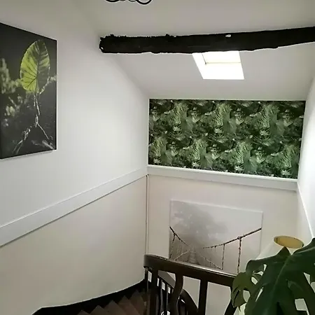 Bed & Breakfast Vingt Grand Rue Champagne-Mouton