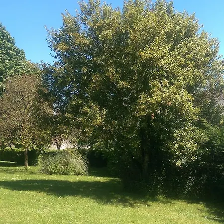 Vingt Grand Rue B&B 3*