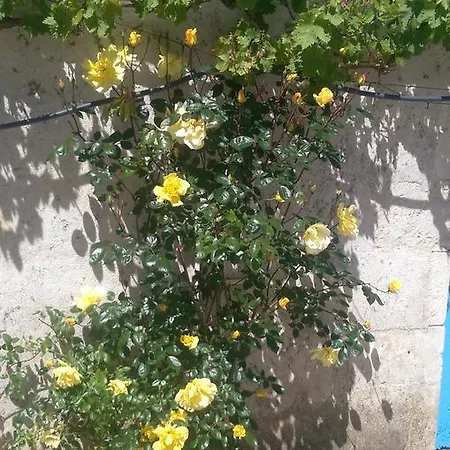 Vingt Grand Rue B&B 샹파뉴 무똥